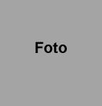 Friedel Junk<br>Fastnachtsumzug